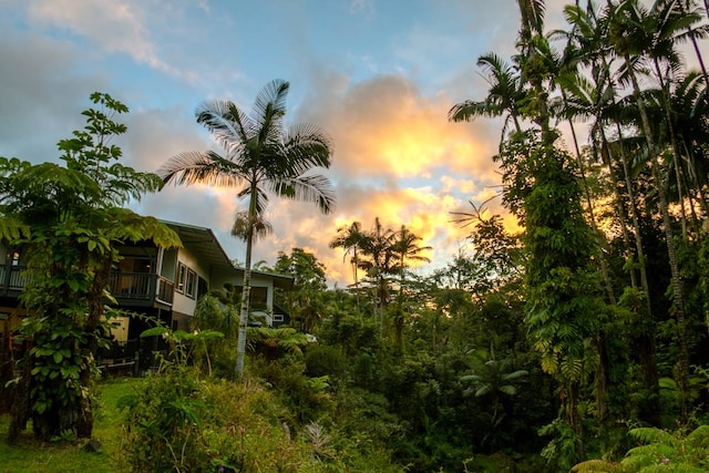 Listing photo 3 for 277 Kaiulani St, Hilo HI 96720