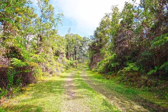 Listing photo 2 for 11-2518 Kokokahi Rd, Volcano HI 96785