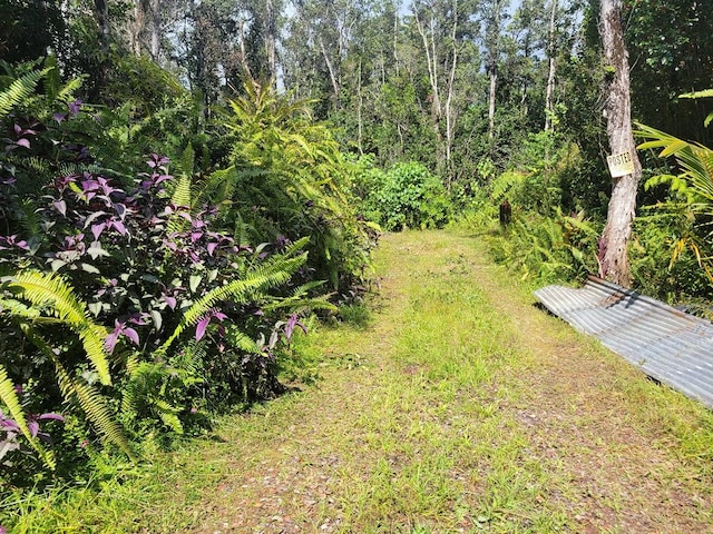 Listing photo 3 for Lanai St, Pahoa HI 96778