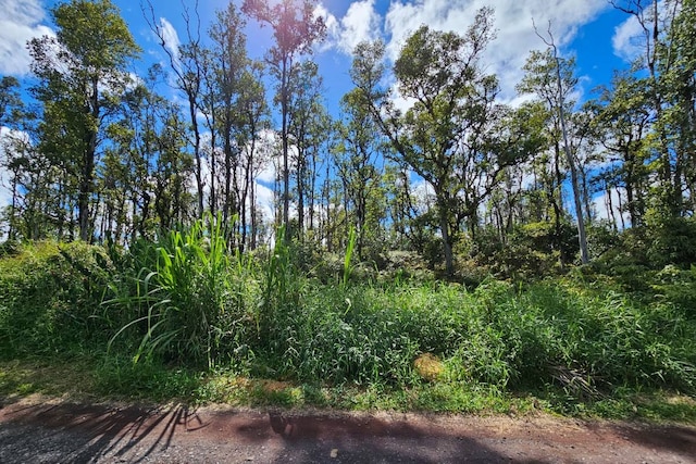 Pukalani Dr, Pahoa HI, 96778 land for sale