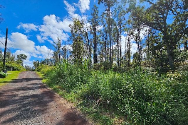 Listing photo 2 for Pukalani Dr, Pahoa HI 96778