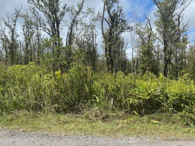 Omeka Rd, Volcano HI, 96785 land for sale