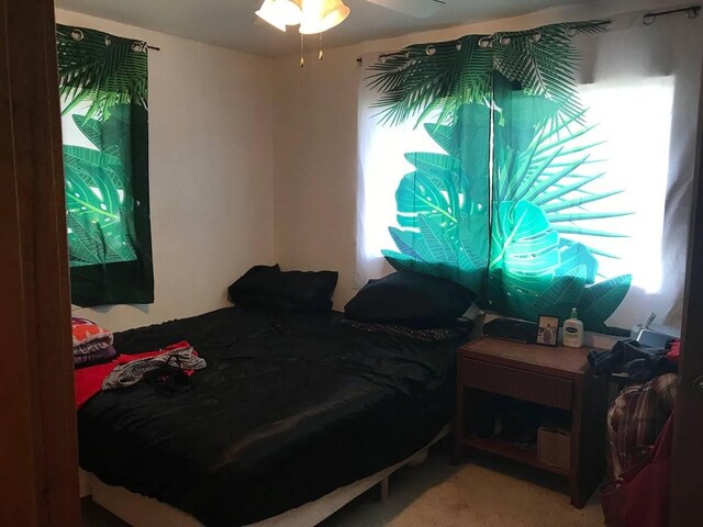 bedroom with ceiling fan, carpet, and multiple windows