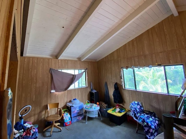 interior space featuring carpet, a healthy amount of sunlight, wood walls, and vaulted ceiling with beams