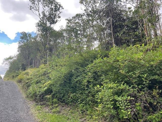 Makoa Rd, Volcano HI, 96785 land for sale