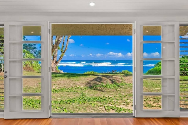 entryway with wood-type flooring