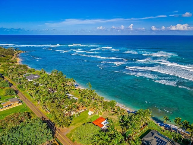 bird's eye view with a view of the beach and a water view