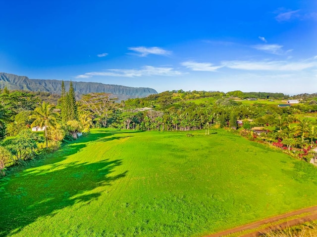 Kapaka St, Princeville HI, 96722 land for sale