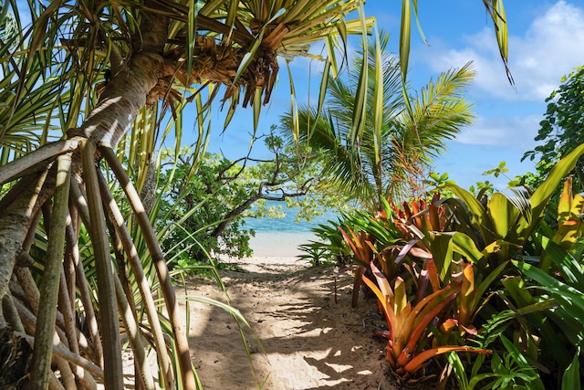 property view of water featuring a view of the beach