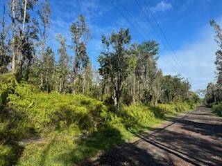 Forest Rd, Pahoa HI, 96778 land for sale