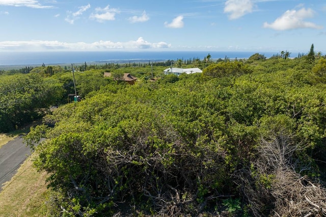 Listing photo 3 for Kanaloa Pl, Naalehu HI 96772