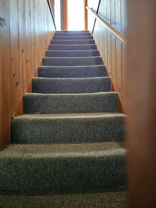 stairway with wooden walls