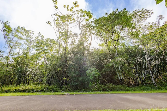 Listing photo 2 for Moana St, Pahoa HI 96778