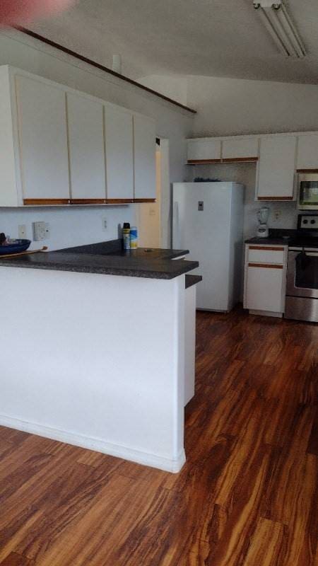 kitchen with white cabinets, dark hardwood / wood-style flooring, and stainless steel appliances