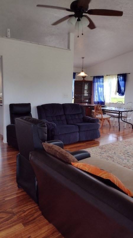 living room featuring dark hardwood / wood-style flooring, ceiling fan, and lofted ceiling