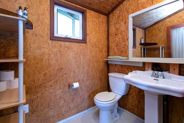 bathroom with toilet, lofted ceiling, and sink