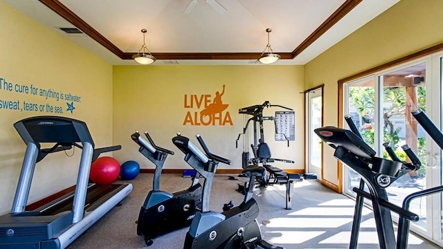 workout area with a raised ceiling, ornamental molding, and carpet floors