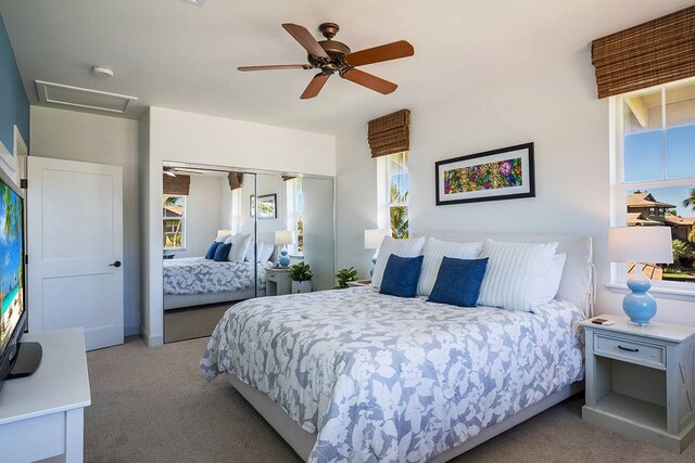 bedroom featuring multiple windows, carpet flooring, and a closet