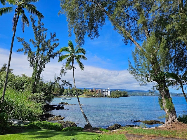 Listing photo 3 for 355 Kalanianaole St Unit 108, Hilo HI 96720