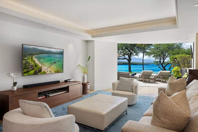 living room with hardwood / wood-style floors and a raised ceiling