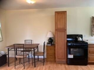 dining space with light hardwood / wood-style flooring