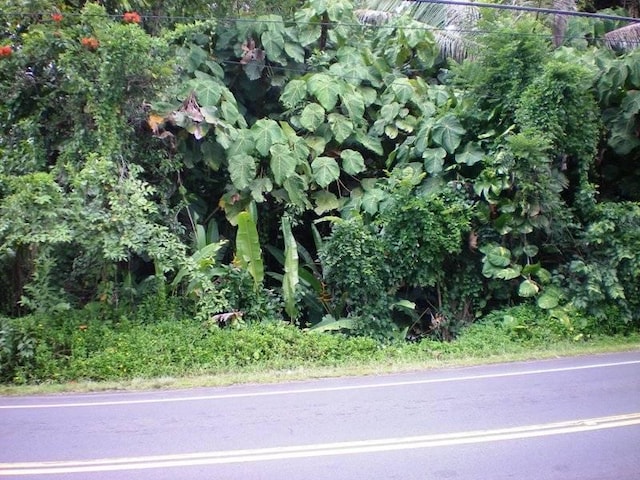 N Kawakawa St, Pahoa HI, 96778 land for sale