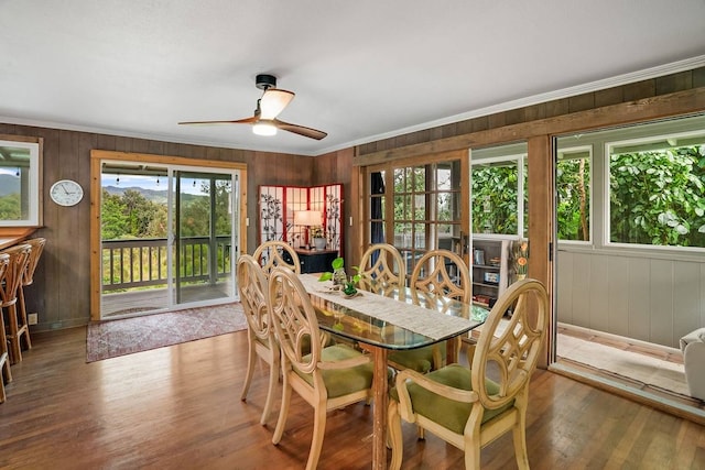 dining area featuring dark hardwood / wood-style floors, ceiling fan, and wood walls