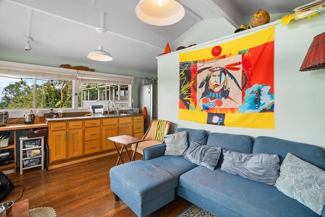 living room with lofted ceiling, sink, and dark wood-type flooring