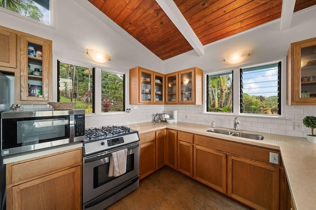 kitchen with backsplash, stainless steel appliances, a wealth of natural light, and sink