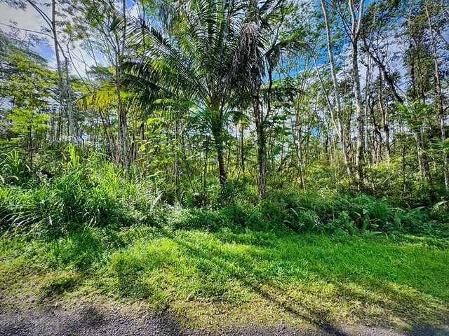 Listing photo 2 for Molokai Rd, Pahoa HI 96778