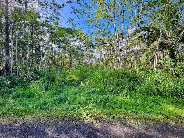 Listing photo 3 for Molokai Rd, Pahoa HI 96778