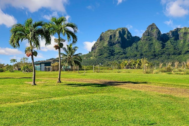 view of yard featuring a mountain view and a rural view