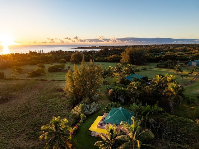 aerial view at dusk featuring a water view