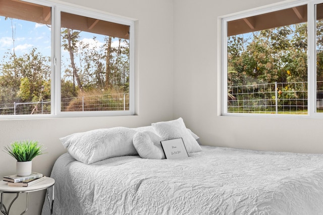 bedroom with multiple windows