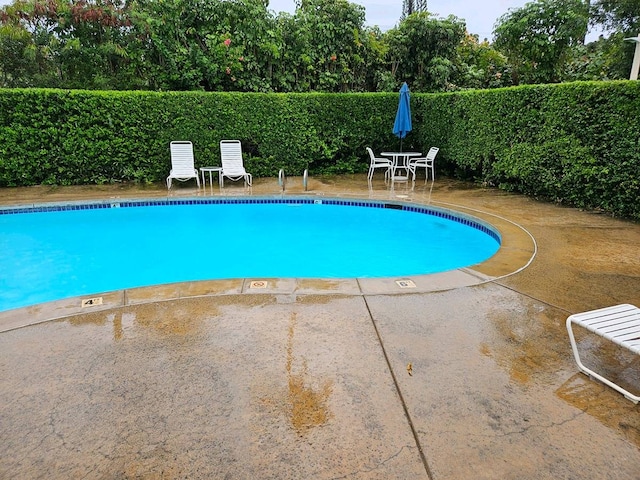 view of pool with a patio area