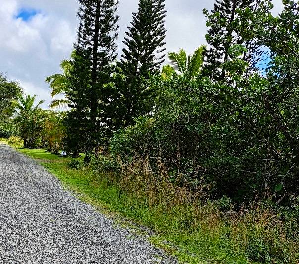 1st Ave, Keaau HI, 96749 land for sale