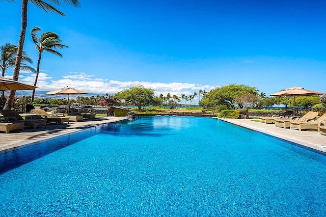 view of swimming pool with a patio