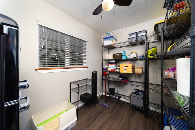 storage room with ceiling fan