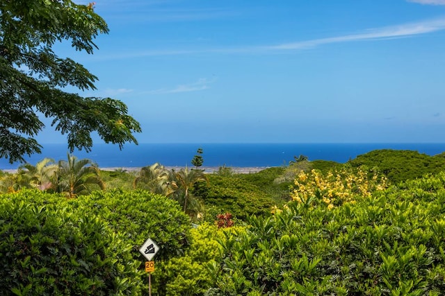 Listing photo 2 for 75-646 Nani Ohai Pl, Kailua-Kona HI 96740