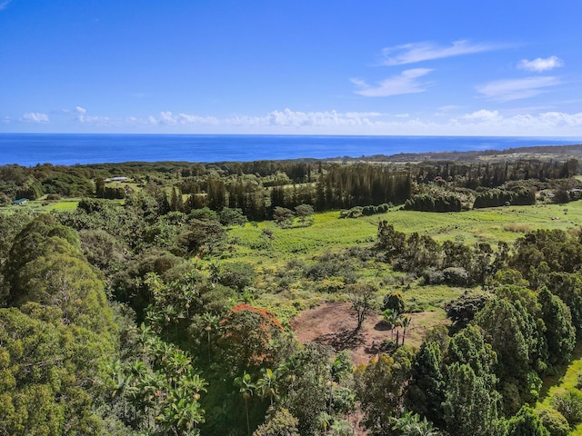 29-2458 Kaiwiki Homestead Rd, Hakalau HI, 96710 land for sale