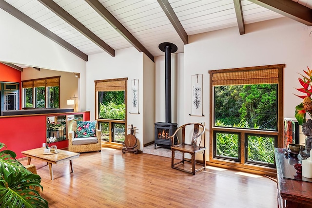 living room featuring a wood stove, a wealth of natural light, and light hardwood / wood-style flooring