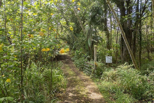 Listing photo 3 for 280 Laula Rd, Hilo HI 96720