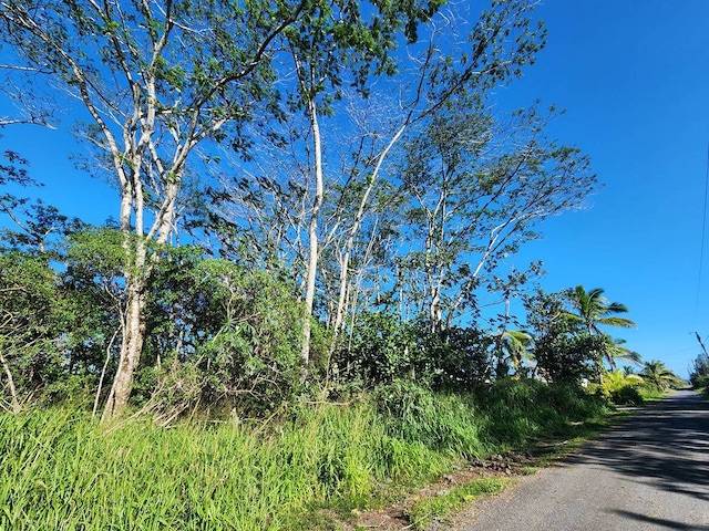 6th Ave, Keaau HI, 96749 land for sale