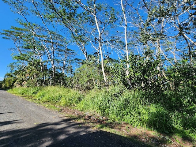 Listing photo 3 for 6th Ave, Keaau HI 96749