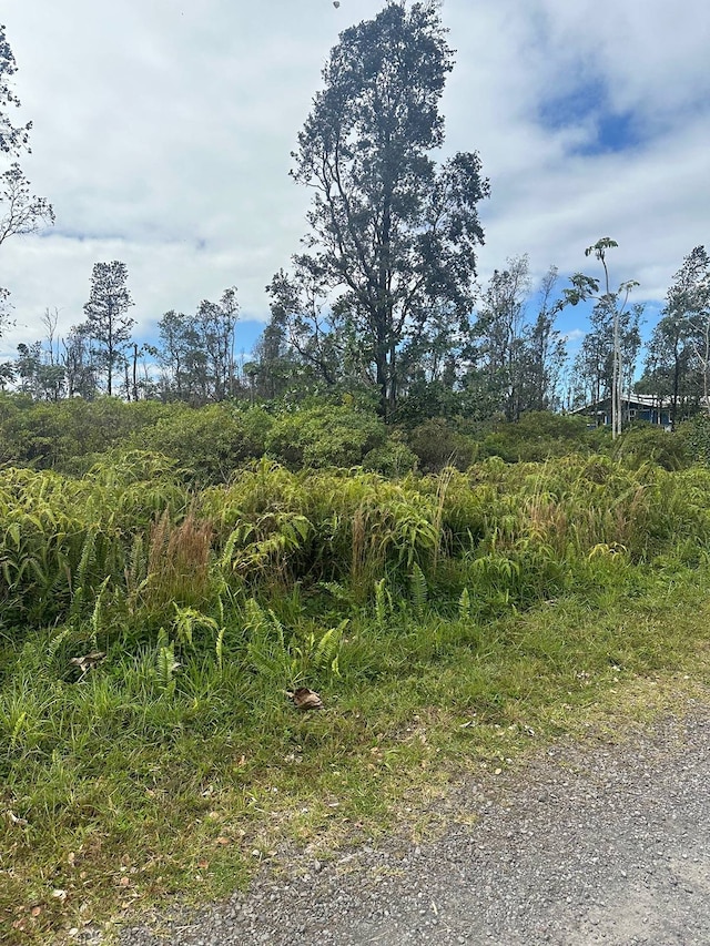 14th Ave, Keaau HI, 96749 land for sale