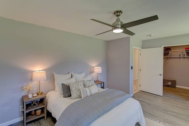 bedroom featuring a walk in closet, a closet, ceiling fan, and light wood-type flooring