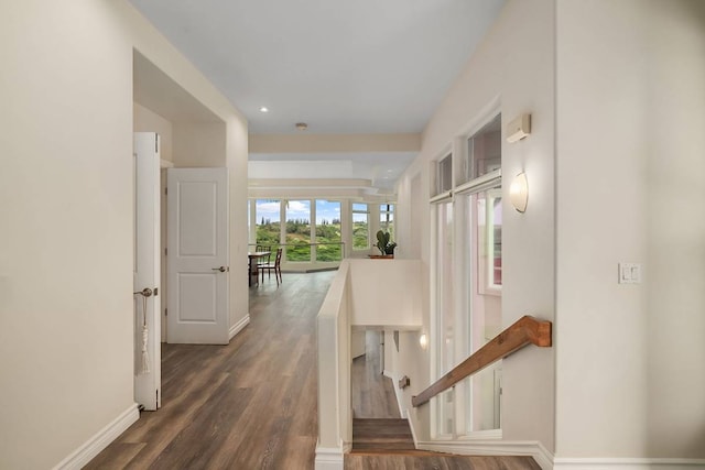 hallway featuring dark wood-type flooring