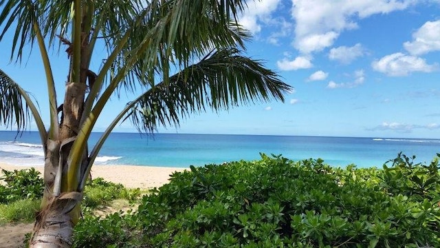 property view of water featuring a view of the beach