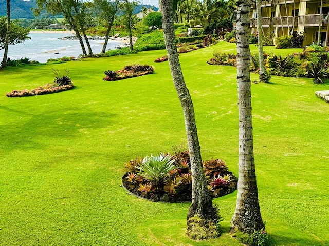 view of yard with a water view