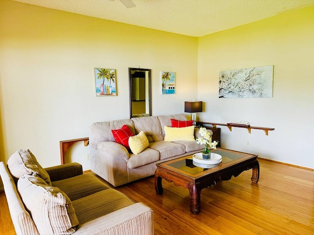 living room featuring a textured ceiling and wood-type flooring